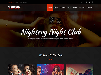 Nightery - Night Club WordPress Theme