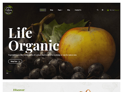 Colora - Organic Food eCommerec Bootastrap 4 Template agriculture bootstrap 4 clean creative eco products ecommerce business farm food fresh fruit grocery store health modern organic food organic store responsive