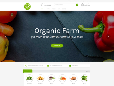 Organic Food Shopify eCommerce Theme   Greenfarm
