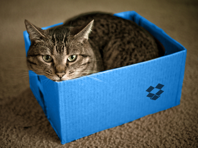 Dropbox: Store Anything blue box cat cloud drop dropbox files meow upload