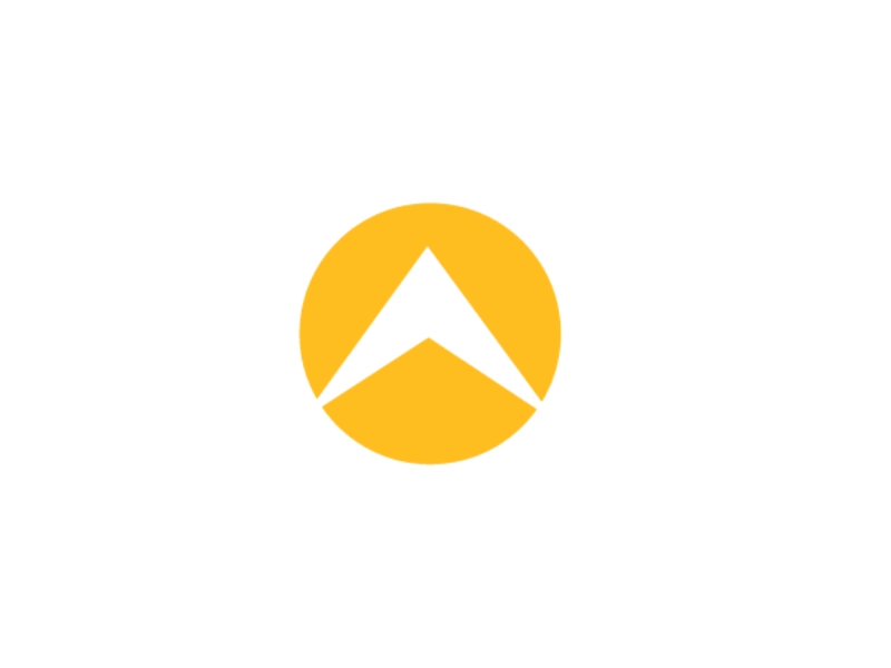 Bright captial dribbble