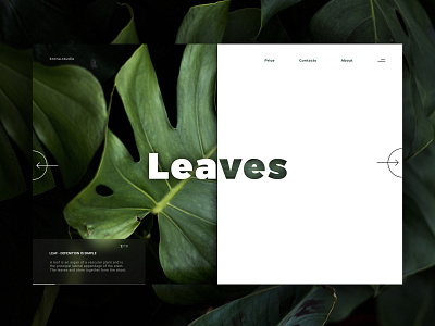 Flowers Store - Home page design graphic design interface ui