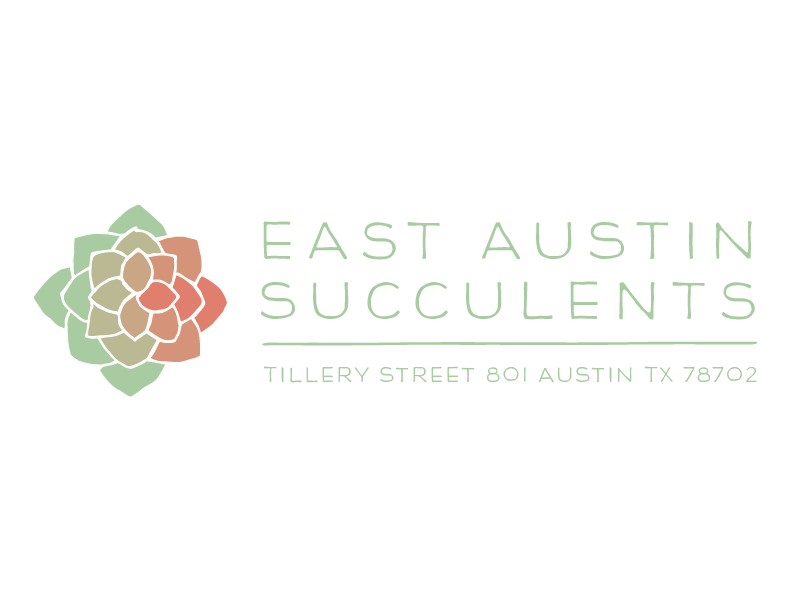 East Austin Succulents freelance kelsey damaris succulents austin east