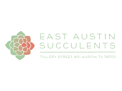 East Austin Succulents austin damaris east freelance kelsey succulents