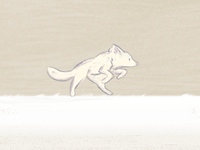 Snow Fox animation fox gif new snow