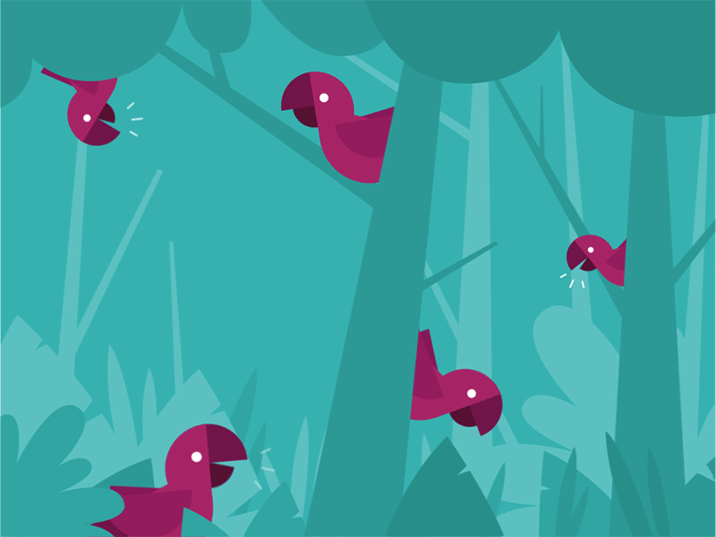 Tweet tweet bird birds early bird flock forest gif jungle loop parrot tropical tweet