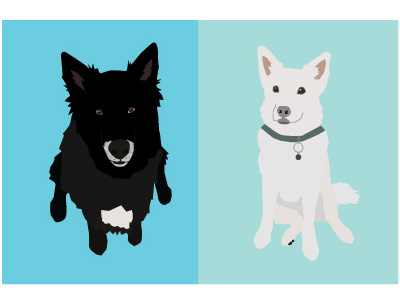Luna & Percy dogs husky shiba
