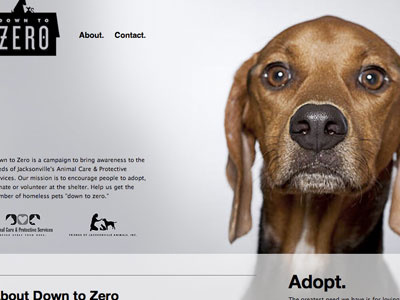 Down to Zero Website Comp animals big photo website