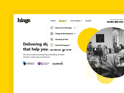 Hinge Website - Dropdown