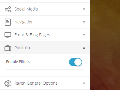 Options customization options template theme wordpress