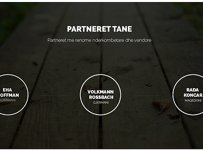 Partners company partner partnerss