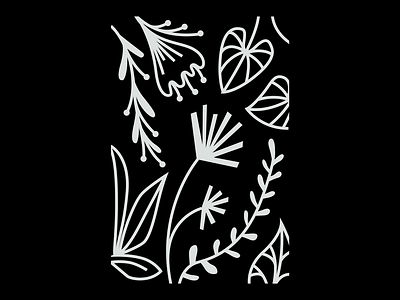 Plantas abstract black black white compose design flowers garden gardening illustration leaf leaves lines plants vector