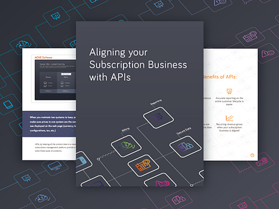 API eBook Illustration api business ebook ecommerce graphic design illustration web