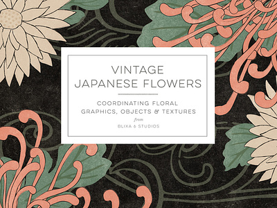 Vintage Japanese Flowers Graphics Collection art licensing asian graphics design design tools flat design floral graphics floral patterns flowers graphic resources illustration japanese culture japanese design japanese flowers jpg png vector vectors