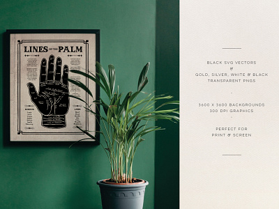 Messy Mystic Palmistry Poster Mockup