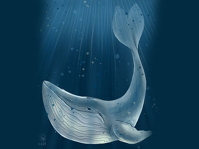 Blue Whale adobe illustrator adobe photoshop digital drawing graphic design illustration illustrator tablet whale