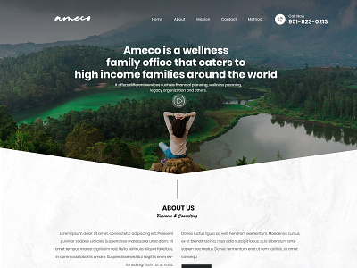 Financial, Wellness Planning branding design illustration ui ux