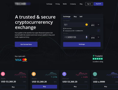 Cryptocurrency Exchange branding cryptocurrency investment design illustration ui ux