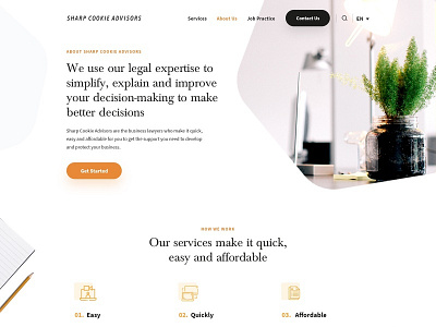 Advisory, Legal Expertise branding design illustration ui ux