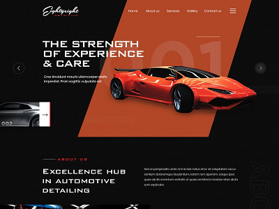 Car Services branding design illustration ui ux