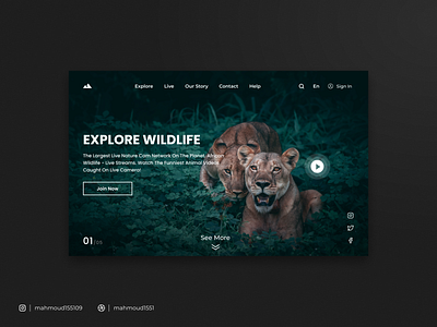 EXPLORE WILDLIFE app design graphic design ui ux website