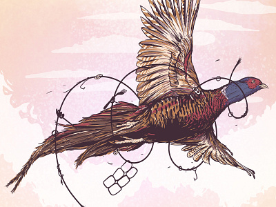 Pheasant adobe fresco animal bird fresco halftones illustration ipad pheasant vector wildlife