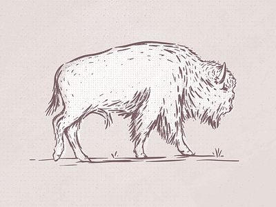 Bison adobe fresco animal bison buffalo fresco halftone ipad texture wild wildlife