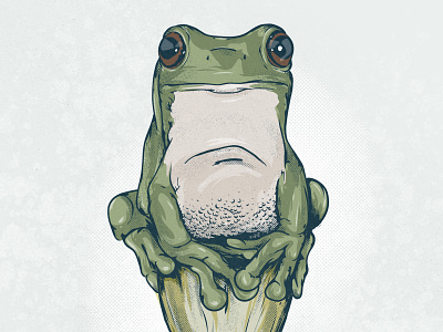 Frog adobe fresco animal fresco frog inktober toad vectober vector