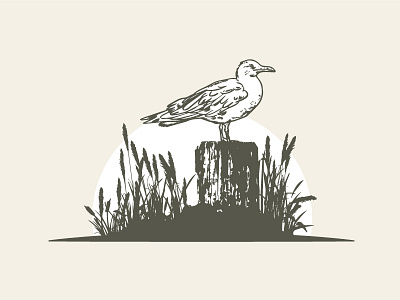 Bird beach bird coastal illustration logo marsh