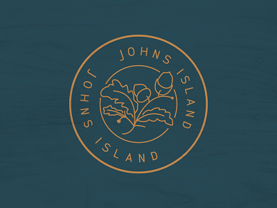 Johns Island charleston chs johns island lowcountry oak