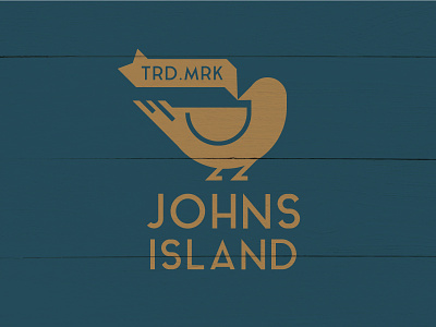 Johns Island bird charleston chs johns island lowcountry