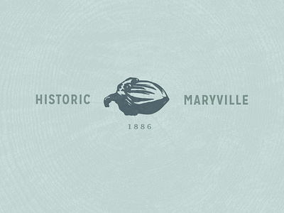 Historic Maryville acorn chs history maryville