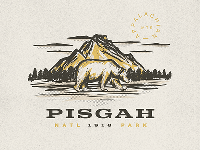 Pisgah National Park adobedraw ipad parks wildlife