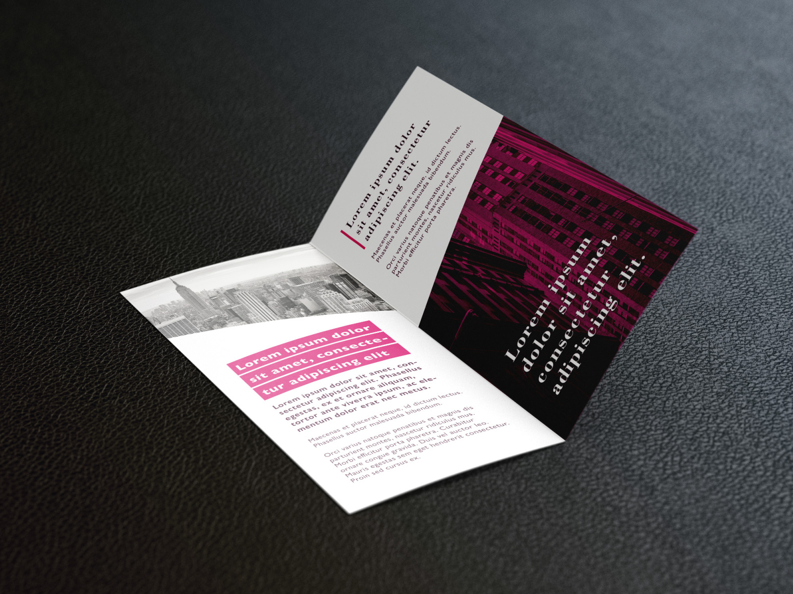 Free bi fold DL flyer mockup by MockupsDesign on Dribbble