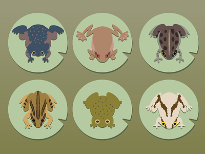 Pobblebonk & Friends frogs illustration vector