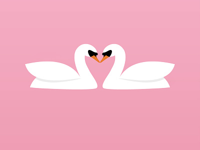 Loving Swans animal love pink swan