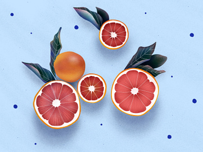Grapefruit fruit illustration grapefruit illustration leaf leaf illustration procreate procreate art procreate illustration procreateapp stilllife