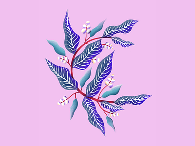 Letter C 36daysoftype botanical design drawing floral flowers illustration leaf leaves letter letter c procreate procreate illustration typography