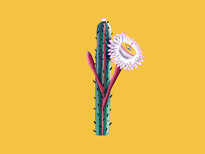 Letter I 36daysoftype botanic botanical cactus design drawing floral flower flowers illustration leaf leaves letter letter i plant procreate procreate app procreate illustration typography