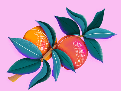 Peaches II affinity designer art botanical drawing floral fruit fruits illustration