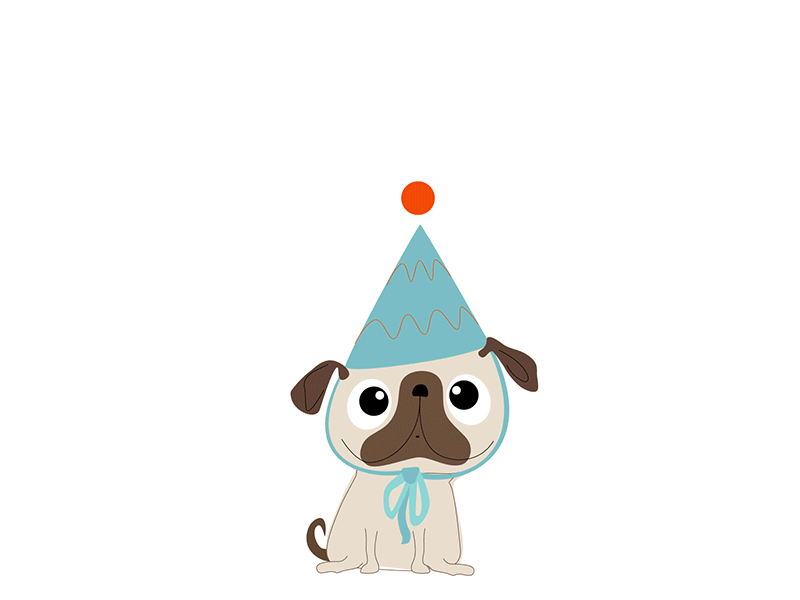Birthday Pug 2d 2d animation adobe after effects animation birthday character cute cute animal happy birthday illustration illustrator pug