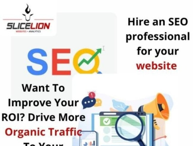 Want to Hire an SEO professional for your website?