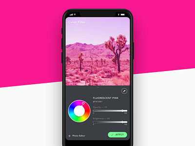 Image Editing iOS App Concept