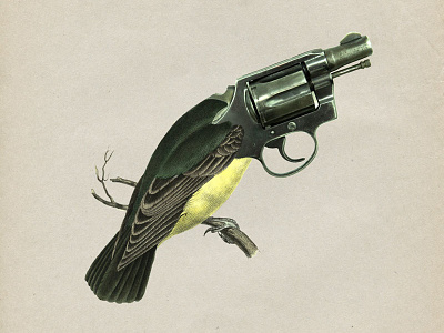 20 Shoot bird collage gun strng vintage