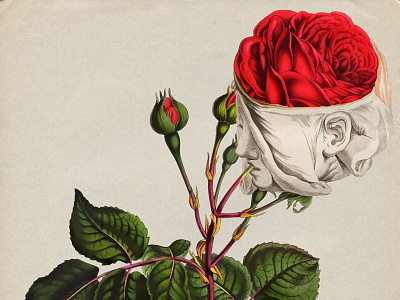33 Burgeon3 anatomy botanical collage face flower rose strng vintage