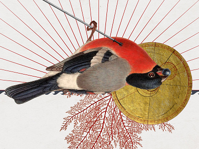 118 Ruber bird collage death strng symbolic vintage