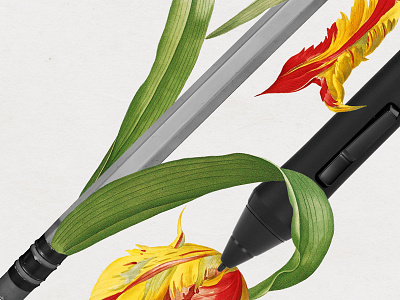 120 Wither botanical collage pencil stilus strng tulip vintage