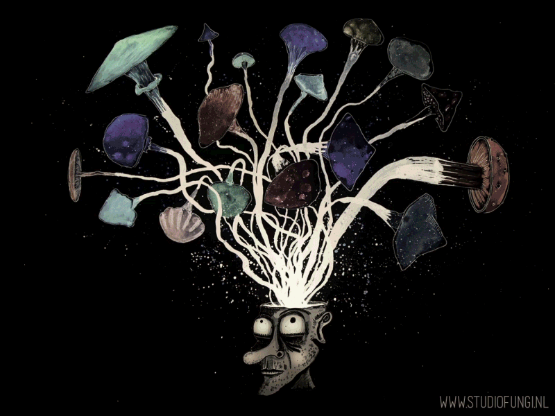 Mushroom Head 🍄 animated gif hallucination magic mushroom robin van den bemt studio fungi trippy
