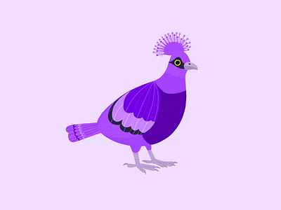 Coronated pigeon