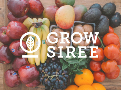 Growsiree Branding brand branding design food logo typography